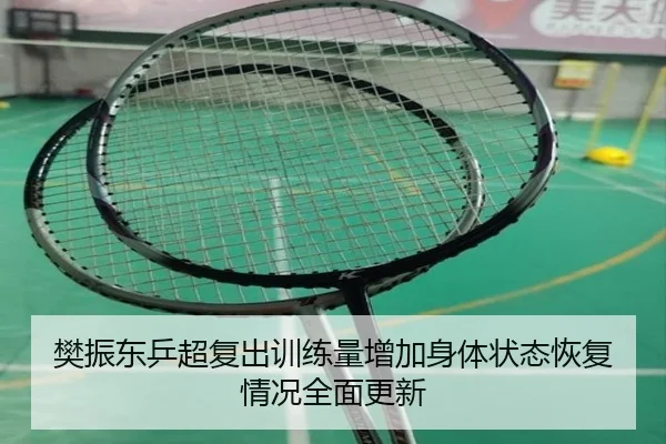 樊振东乒超复出训练量增加身体状态恢复情况全面更新